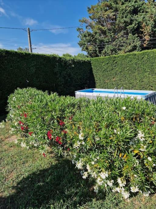 St Remy De Provence, La Maison Du Berger Saint-Andiol Zewnętrze zdjęcie