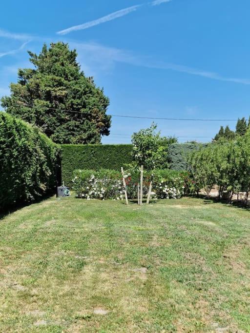 St Remy De Provence, La Maison Du Berger Saint-Andiol Zewnętrze zdjęcie