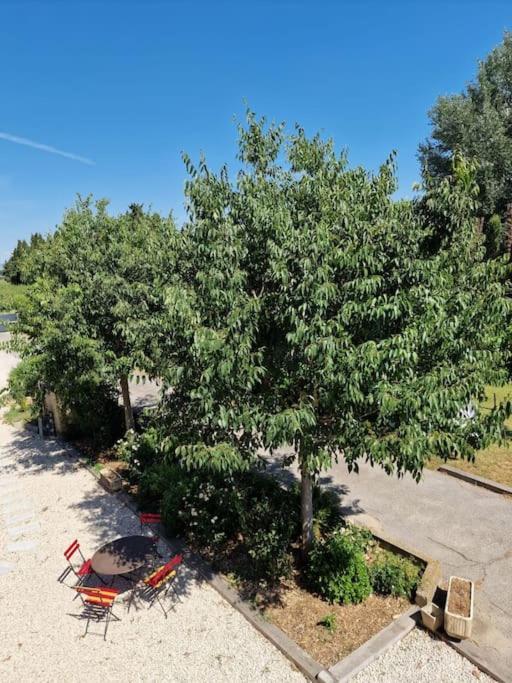 St Remy De Provence, La Maison Du Berger Saint-Andiol Zewnętrze zdjęcie